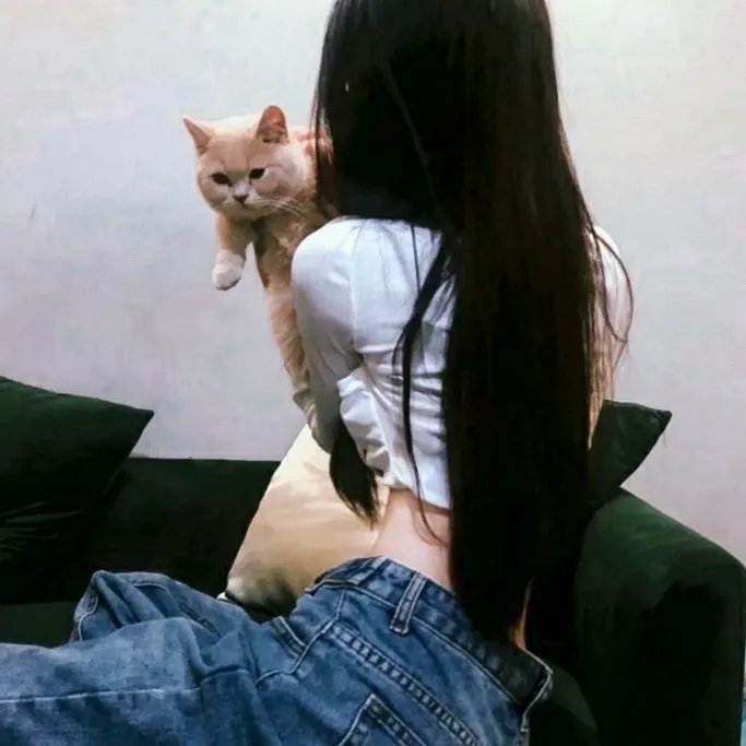 玩具掌门人